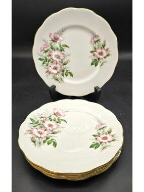 Vintage Royal Albert Wild Rose Plates Bone China Friendship England Set Of 5 VL5
